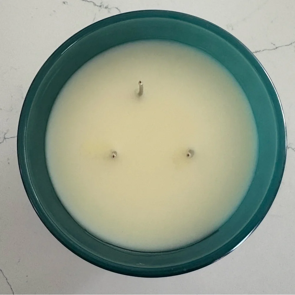 Sand + Fog EXTRA LARGE Soy Coastal Fig Scented Essential Oils Candle 25 oz NWOT